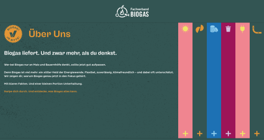 Screenshot der Website Biogas liefert